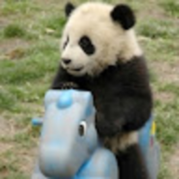 Meet your Posher, Miranda - Picture 1 of 1